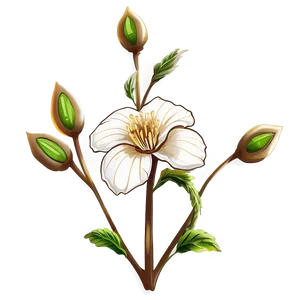 Single Bloom Sketch PNG Lcb78 PNG