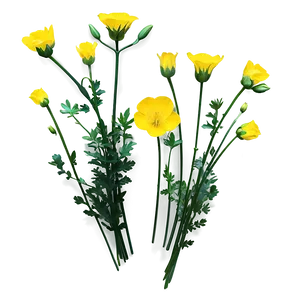 Single Buttercup PNG 14