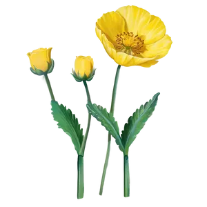 Single Buttercup PNG Hsv