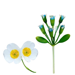 Single Buttercup Png Pab62 PNG image