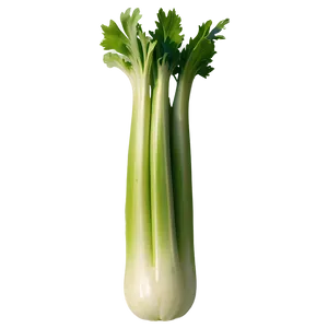 Single Celery Stalk PNG 06252024