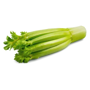 Single Celery Stalk Png Gkw PNG image