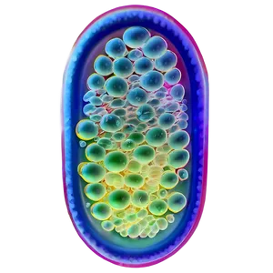 Single-celled Bacteria Png Wyh PNG image