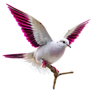 Single Dove Flying PNG 98
