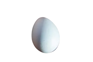 Single Egg Black Background.jpg PNG image