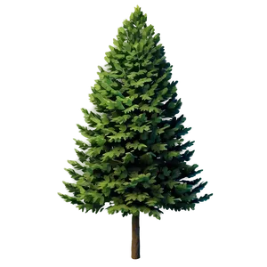 Single Evergreen Tree PNG Hxk98 PNG