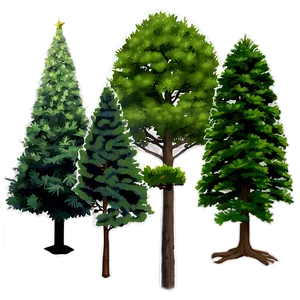 Single Evergreen Tree PNG Qsc91 PNG