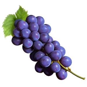 Single Fresh Grape Png Smd PNG image
