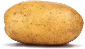 Single Fresh Potato Isolated