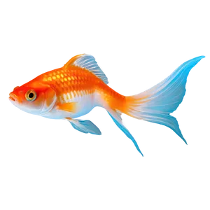 Single Goldfish Png Tgo41 PNG image