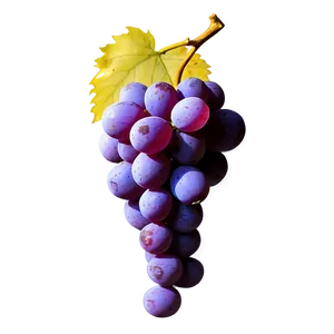 Single Grape No Background PNG Lya PNG