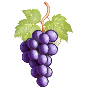 Single Grape On White PNG 06292024 PNG