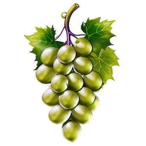 Single Grape On White PNG 06292024 PNG