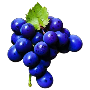 Single Grape On White PNG 84 PNG