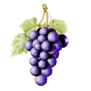 Single Grape Png 77 PNG image