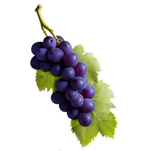 Single Grape PNG Qnh