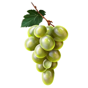 Single Grape PNG Ryl45