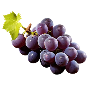 Single Grape Side View PNG Fll PNG