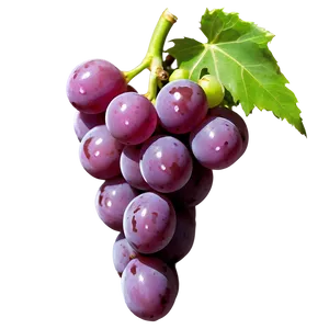 Single Grape Side View PNG Hap83 PNG