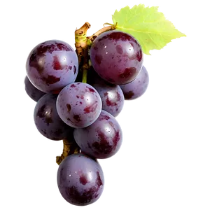 Single Grape Top View PNG 6 PNG