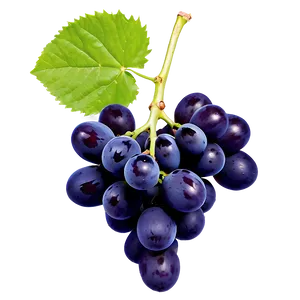 Single Grape Top View PNG Mew PNG