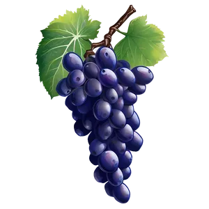 Single Grape With Detail PNG Jpk PNG