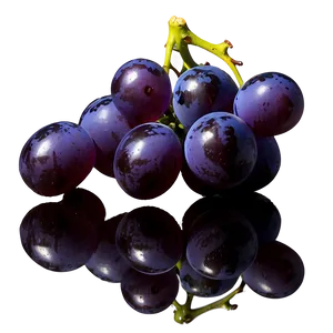 Single Grape With Reflection PNG Ewy