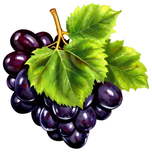 Single Grape With Reflection PNG Rfm PNG