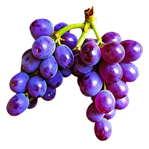 Single Grape With Stem PNG Egw89 PNG