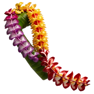 Single Hawaiian Lei PNG 06262024