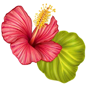Single Hibiscus Png Gxa PNG image