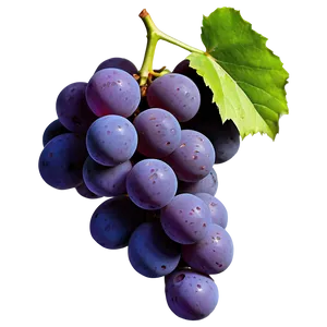 Single Juicy Grape PNG 06292024