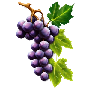 Single Juicy Grape PNG 06292024