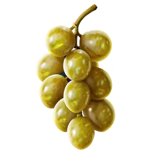 Single Juicy Grape PNG Tyr