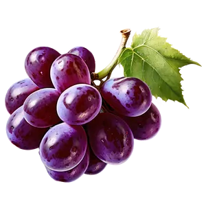 Single Juicy Grape PNG Tyu