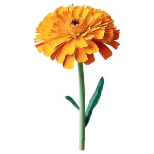 Single Marigold Flower Png 06132024 PNG image