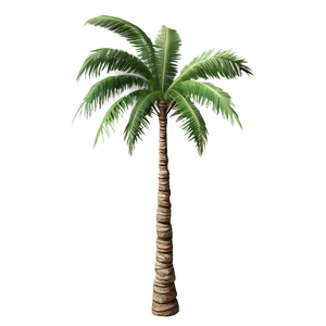 Single Palm Tree Png 04292024 PNG image