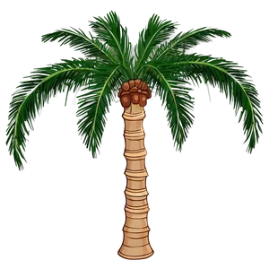 Single Palm Tree PNG 05042024