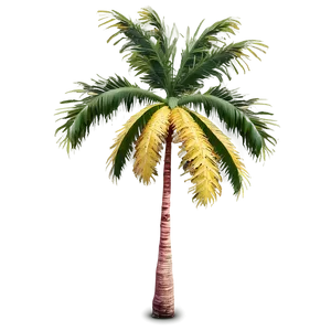 Single Palm Tree PNG 05042024