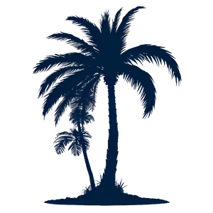 Single Palm Tree Silhouette Png 1 PNG image