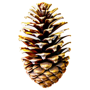 Single Pinecone Standalone PNG 06132024