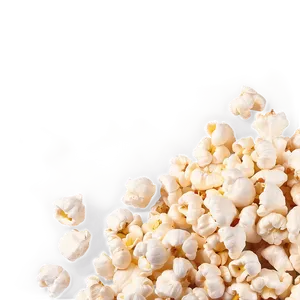 Single Popcorn Kernel Png Kbn PNG image