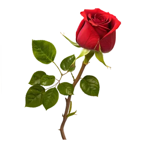 Single Red Rose PNG Xgt29