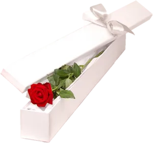 Single Red Rosein Gift Box