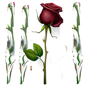 Single Rose Clipart Png 06272024 PNG image