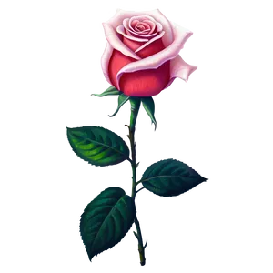 Single Rose PNG Mpt46
