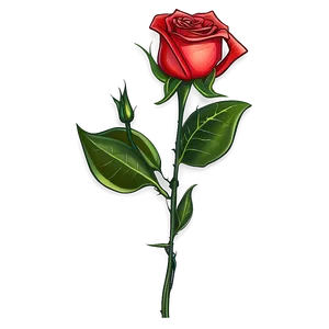Single Rose Stem PNG 05042024