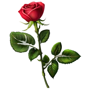 Single Rose Stem PNG 41