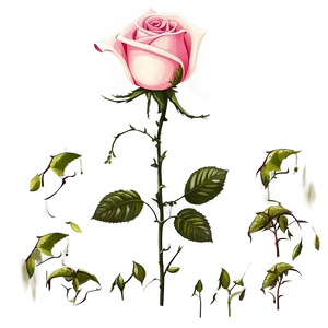 Single Rose Stem PNG Qtf