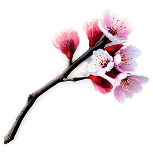 Single Sakura Blossom Png 46 PNG image